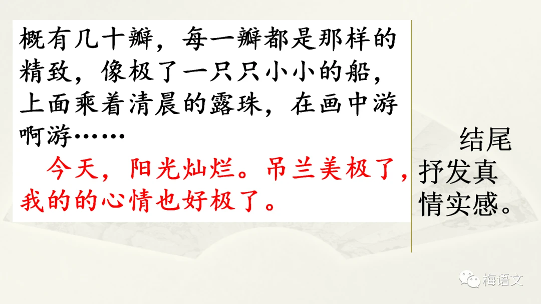 篮球训练心得体会400字左右_1